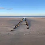 Beachfront Bliss In Knokke, Cleaning Included Lägenhet