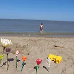 Lägenhet Beachfront Bliss In Knokke, Cleaning Included Knokke-Heist