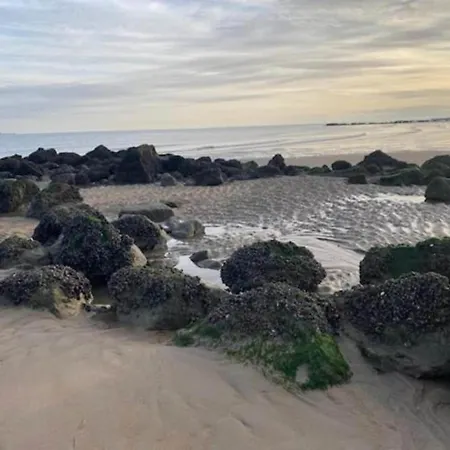 Beachfront Bliss In Knokke, Cleaning Included