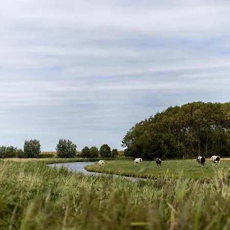 Beachfront Bliss In Knokke, Cleaning Included * クノック・ヘイスト